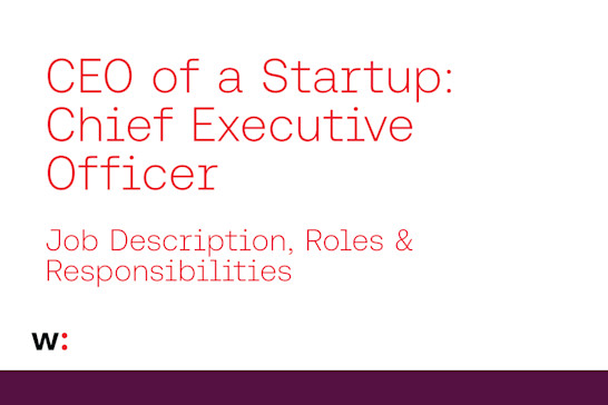 Startup CEO Job Description, Roles & Responsibilities